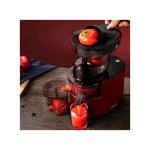 Sokany Multifunctional Whole Slow Juicer